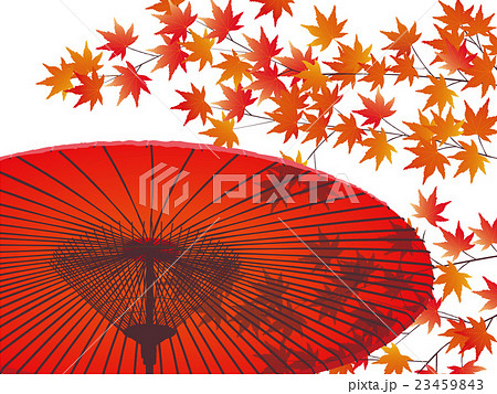 傘と紅葉 23459843