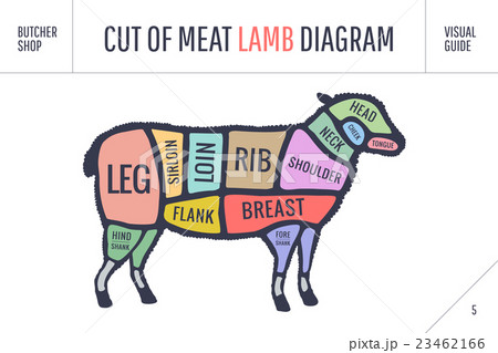 Cut of beef set. Poster Butcher diagram and scheme Cut of beef set. Poster Butcher diagram and scheme 23462166