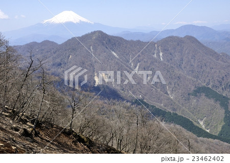 春の蛭ヶ岳より富士山眺望 23462402