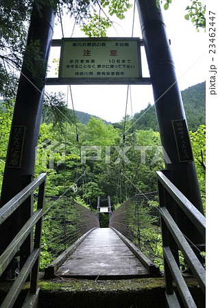 山の吊り橋 山の吊り橋 23462447