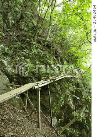 古い木橋 23462464