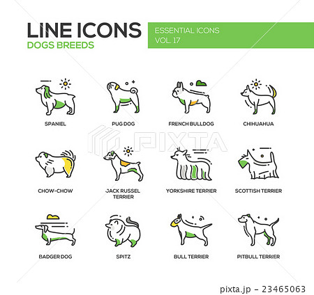 Dog breeds - line design icons set 23465063