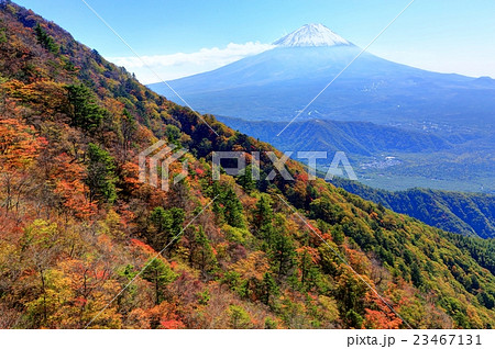 御坂山地・鍵掛峠付近の紅葉と富士山 23467131