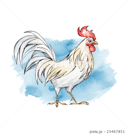 Rooster with red crest 2. Ink and watercolor 23467851
