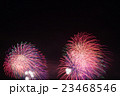 花火 23468546