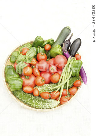 夏野菜の収穫 23470280