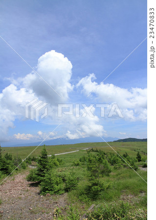夏の美ヶ原高原 夏の美ヶ原高原 23470833