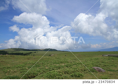 夏の美ヶ原高原 夏の美ヶ原高原 23470834