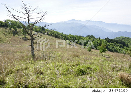 乾徳山の高原と大菩薩連嶺を望む 23471199