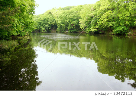 震生湖 23472112