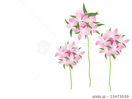 bouquet flower pink in round bouquet flower pink in round 23473039