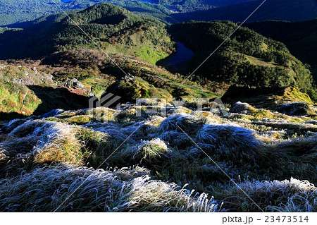 日光白根山の登りから結氷した下草と弥陀ガ池方面の眺望 23473514