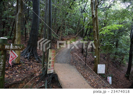ロープウェイを降り岩国城への道 23474018