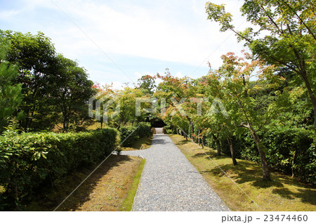 桂離宮　苑路 23474460