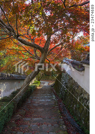 秋の勝持寺 秋の勝持寺 23474689