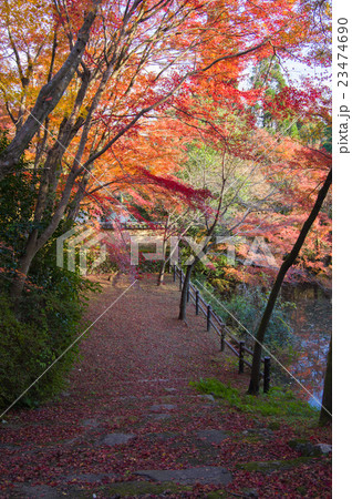 秋の勝持寺 23474690
