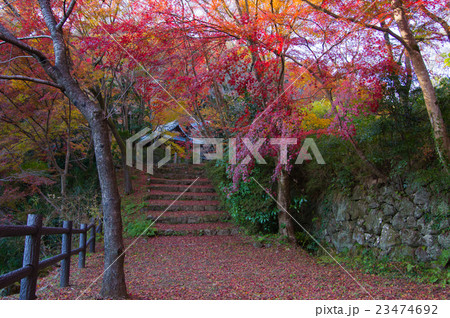秋の勝持寺 23474692
