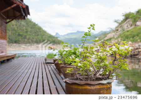 walk path with flower pot, floating house Rafting 23475696
