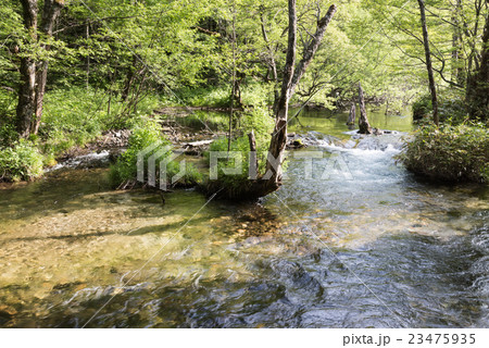 梓川支流 23475935