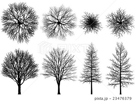 木 冬枯れ 俯瞰 ベクター のイラスト素材