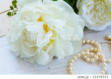 White peony flowers White peony flowers 23476554