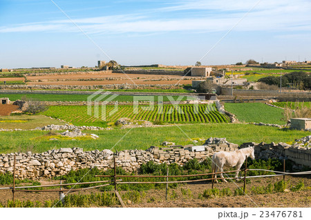 Panorama view on fields and village. Gozo, Malta. 23476781