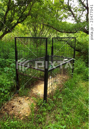 里山にも害獣捕獲用の檻が設置されました 23477041