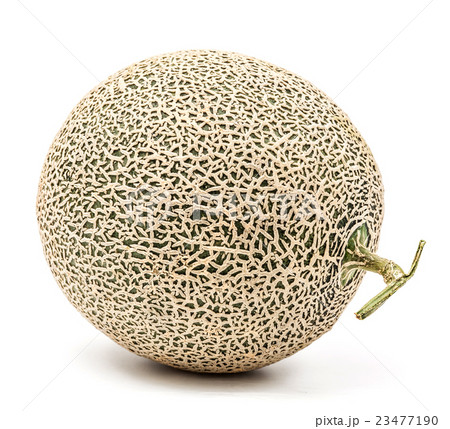 single melon single melon 23477190