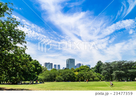 休日の公園 23477359