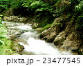 鈍川渓谷 23477545