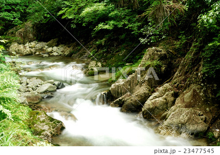 鈍川渓谷 鈍川渓谷 23477545