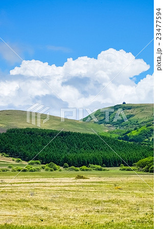 八島ヶ原湿原 (8) 23477594