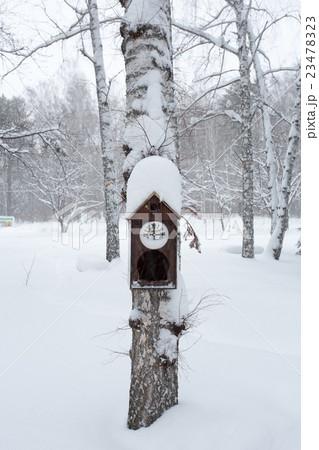 Birdhouse in the winter forest Birdhouse in the winter forest 23478323