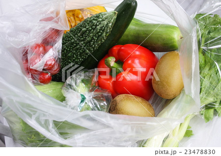 野菜の買い物 23478830