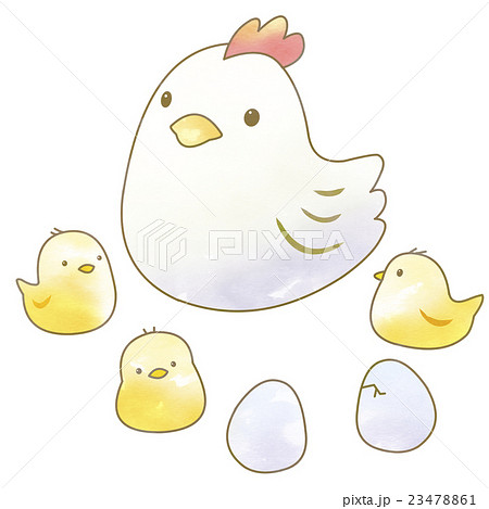 Chickens And Chicks And Eggs Stock Illustration