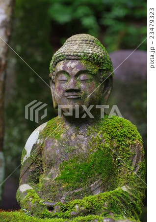 信州の文化財 名工 守屋貞治の石仏 阿弥陀如来像 半身縦 (駒ヶ根市光前寺) 信州の文化財 名工 守屋貞治の石仏 阿弥陀如来像 半身縦 (駒ヶ根市光前寺) 23479323