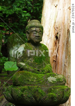 信州の文化財 名工 守屋貞治の石仏 阿弥陀如来像 右俯瞰縦 (駒ヶ根市光前寺) 信州の文化財 名工 守屋貞治の石仏 阿弥陀如来像 右俯瞰縦 (駒ヶ根市光前寺) 23479324