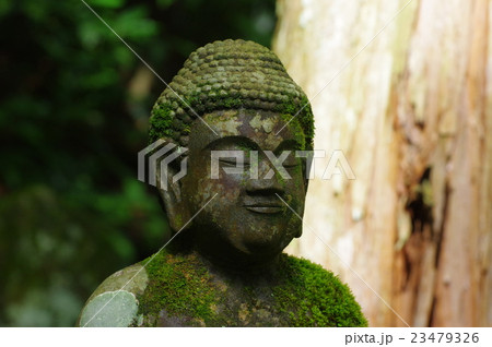 信州の文化財　名工　守屋貞治の石仏　阿弥陀如来像　頭部横　（駒ヶ根市光前寺） 23479326