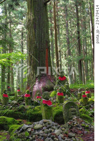 信州の文化財　名工　守屋貞治の石仏　賽の河原地蔵尊　全景縦　（駒ヶ根市光前寺） 23479414