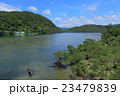 西表島　浦内川 23479839