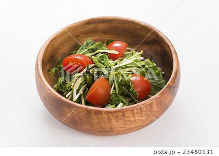 水菜のサラダ 水菜のサラダ 23480131