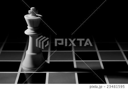 chess piece chess piece 23481595