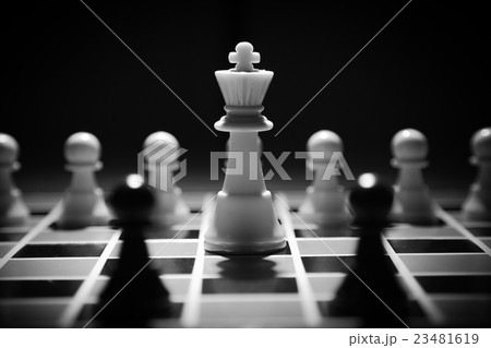 chess piece chess piece 23481619