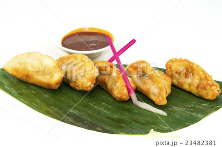 Japanese dumplings with lettuce on white backgroun Japanese dumplings with lettuce on white backgroun 23482381