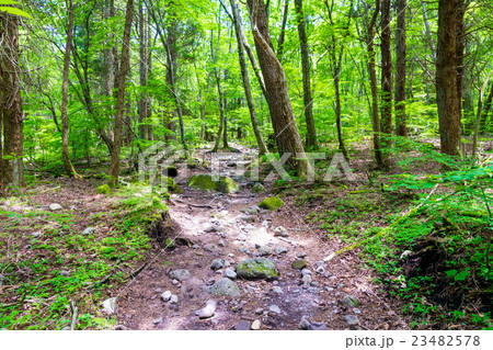 くじゅう登山 23482578