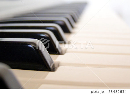 Music keyboard Music keyboard 23482634