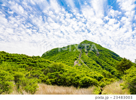 初夏の雨ヶ池 23483003