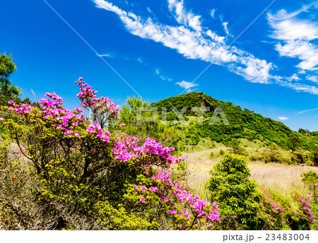 初夏の雨ヶ池 初夏の雨ヶ池 23483004