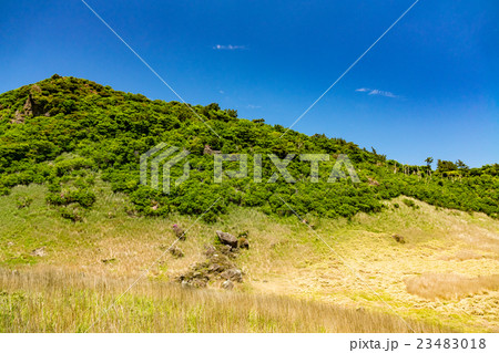 初夏の雨ヶ池 23483018
