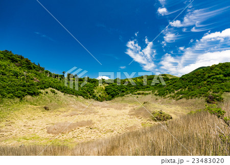 初夏の雨ヶ池 初夏の雨ヶ池 23483020